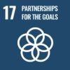 SDG 17